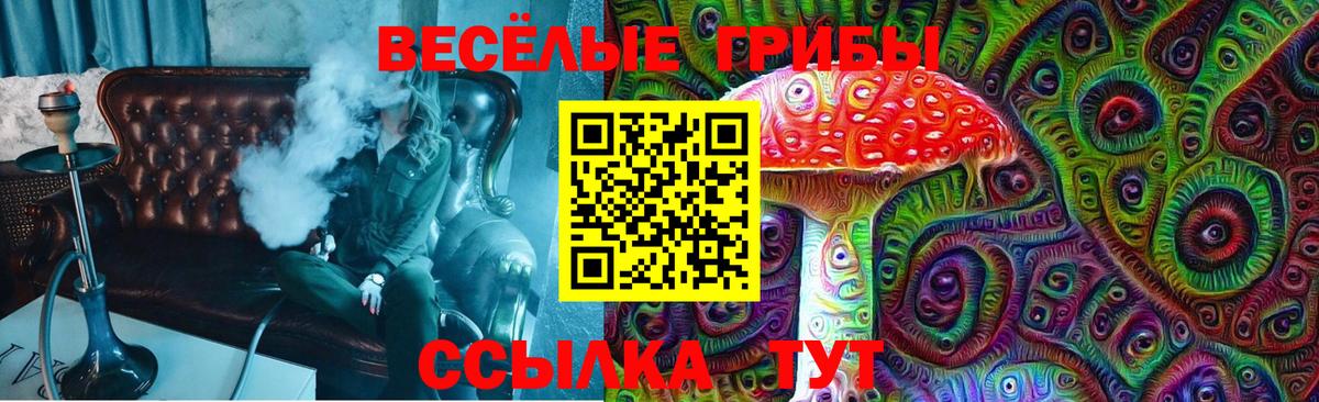 Псилоцибиновые грибы Cubensis  Псилоцибиновые грибы Cubensis  Артёмовский  наркошоп  Вход с VPN 